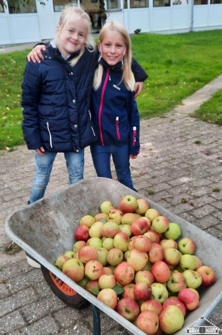 Bild: Erntedankfest_9
