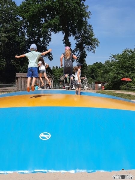 Bild: Ostrittrum_13