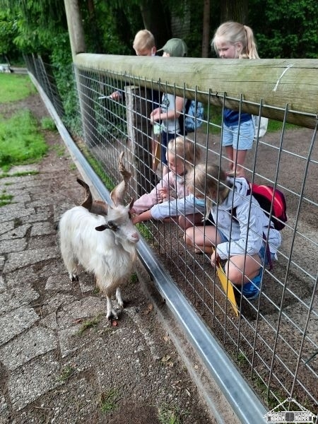 Bild: Ostrittrum_4