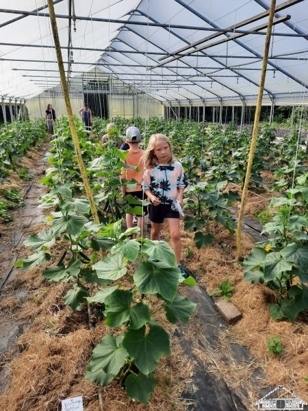 Bild: Demeterhof Grummersort_1