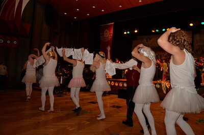 Foto des Albums: Seerosenball 2023