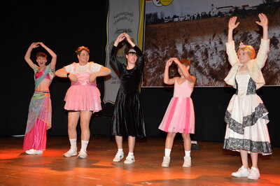 Foto des Albums: Seerosenball 2023