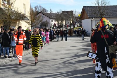 Foto des Albums: Rosenmontag 2023 - Fotos Werner Schachtner