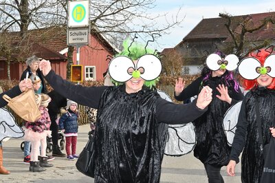 Foto des Albums: Rosenmontag 2023 - Fotos Werner Schachtner