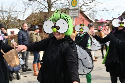 Foto des Albums: Rosenmontag 2023 - Fotos Werner Schachtner