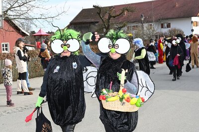 Foto des Albums: Rosenmontag 2023 - Fotos Werner Schachtner