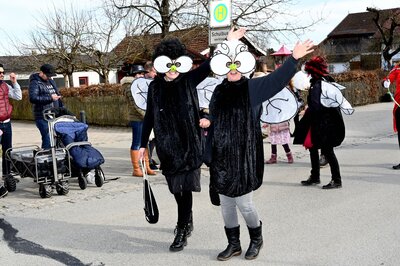 Foto des Albums: Rosenmontag 2023 - Fotos Werner Schachtner