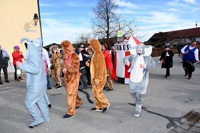 Foto des Albums: Rosenmontag 2023 - Fotos Werner Schachtner