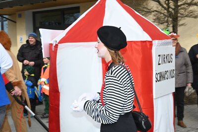 Foto des Albums: Rosenmontag 2023 - Fotos Werner Schachtner