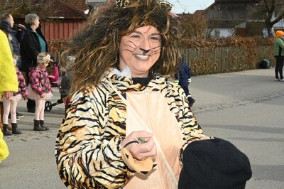 Foto des Albums: Rosenmontag 2023 - Fotos Werner Schachtner