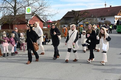 Foto des Albums: Rosenmontag 2023 - Fotos Werner Schachtner