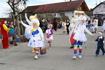 Foto des Albums: Rosenmontag 2023 - Fotos Werner Schachtner