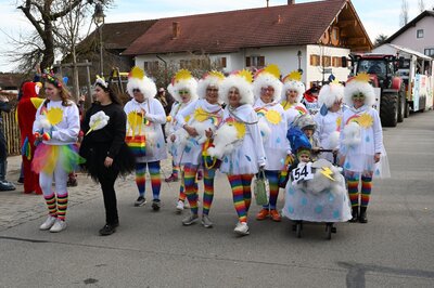 Foto des Albums: Rosenmontag 2023 - Fotos Werner Schachtner