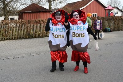 Foto des Albums: Rosenmontag 2023 - Fotos Werner Schachtner