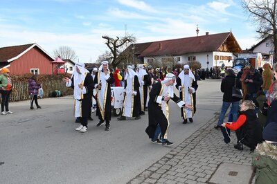 Foto des Albums: Rosenmontag 2023 - Fotos Werner Schachtner
