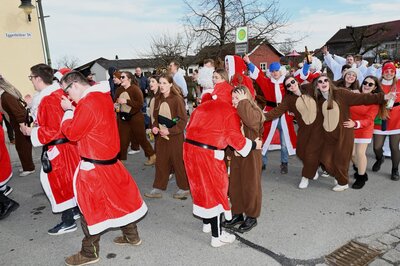 Foto des Albums: Rosenmontag 2023 - Fotos Werner Schachtner