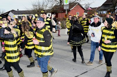 Foto des Albums: Rosenmontag 2023 - Fotos Werner Schachtner