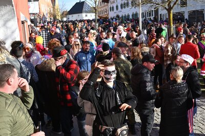 Foto des Albums: Rosenmontag 2023 - Fotos Werner Schachtner