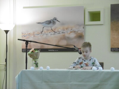 Foto des Albums: Vorlesewettbewerb