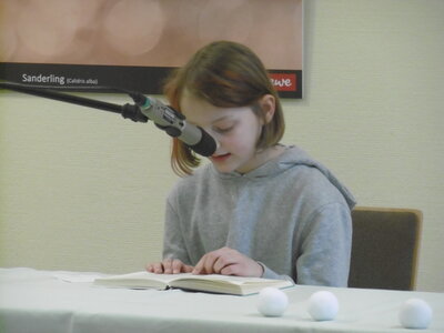 Foto des Albums: Vorlesewettbewerb