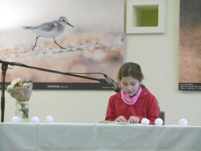 Foto des Albums: Vorlesewettbewerb