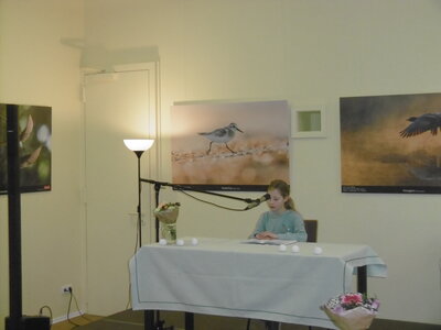 Foto des Albums: Vorlesewettbewerb