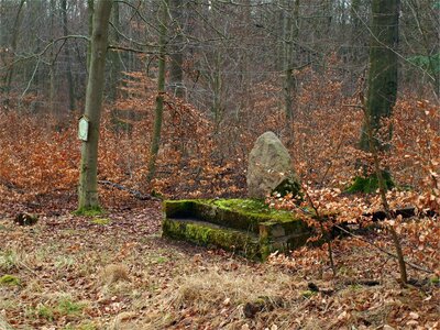 Schweinedenkmal  (Bild vergr&ouml;&szlig;ern)