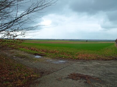 Hildesheimer B&ouml;rde  (Bild vergr&ouml;&szlig;ern)