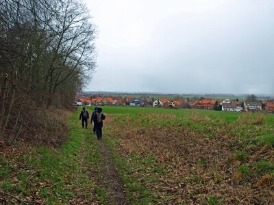 R&uuml;ckweg  (Bild vergr&ouml;&szlig;ern)