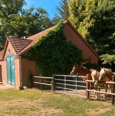 Foto des Albums: Ferienwohnung für 2-3 Personen