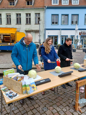 Foto des Albums: Pritzwalker besuchen den Surn-Hansen-Markt in Perleberg