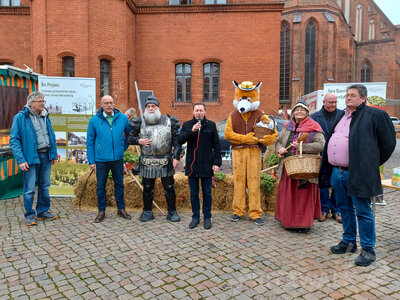 Foto des Albums: Pritzwalker besuchen den Surn-Hansen-Markt in Perleberg