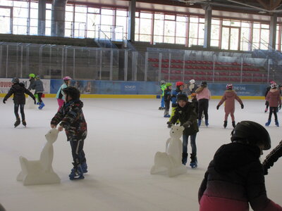 Foto des Albums: Eislaufen in der Eishalle in Mitterteich (03. 03. 2023)