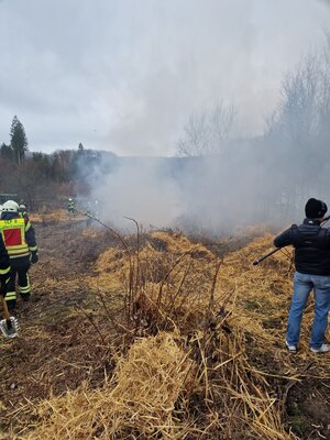 Foto des Albums: Brennen in der Hute
