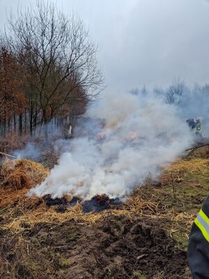 Foto des Albums: Brennen in der Hute