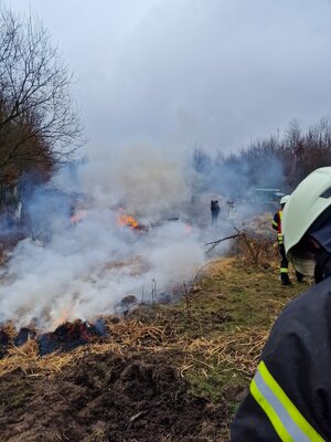 Foto des Albums: Brennen in der Hute