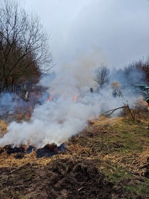 Foto des Albums: Brennen in der Hute