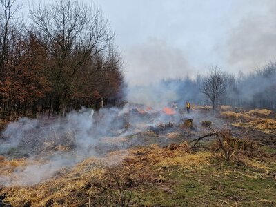 Foto des Albums: Brennen in der Hute