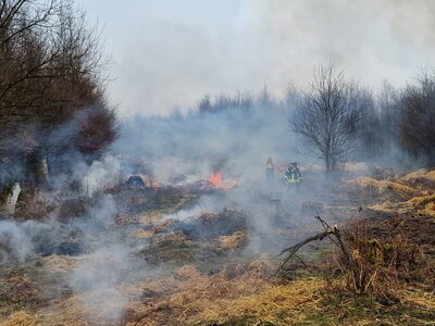 Foto des Albums: Brennen in der Hute