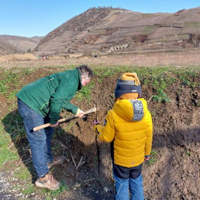 Foto des Albums: Waldkita Wildblumenwiese - Frühlingsaktionen gehen weiter! (02. 03. 2023)