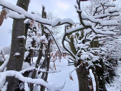 Foto des Albums: Winterlicher Spaziergang im März (06.03.2023)