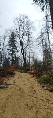 Foto des Albums: Rundwanderung auf dem großen Waldstein bei Weißenstadt