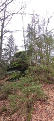 Foto des Albums: Rundwanderung auf dem großen Waldstein bei Weißenstadt