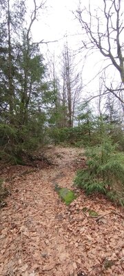 Foto des Albums: Rundwanderung auf dem großen Waldstein bei Weißenstadt