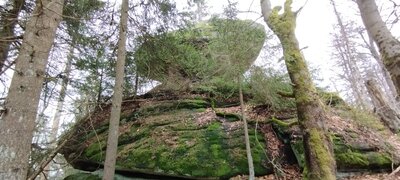 Foto des Albums: Rundwanderung auf dem großen Waldstein bei Weißenstadt
