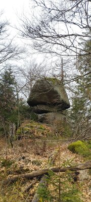 Foto des Albums: Rundwanderung auf dem großen Waldstein bei Weißenstadt