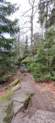 Foto des Albums: Rundwanderung auf dem großen Waldstein bei Weißenstadt