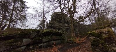 Foto des Albums: Rundwanderung auf dem großen Waldstein bei Weißenstadt