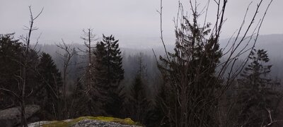 Foto des Albums: Rundwanderung auf dem großen Waldstein bei Weißenstadt