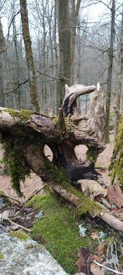 Foto des Albums: Rundwanderung auf dem großen Waldstein bei Weißenstadt